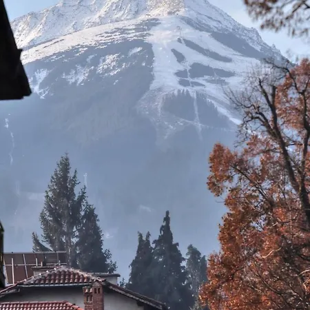 Mountain View 1-bedroom Few Steps From Piste And Gondola Lift 班斯科