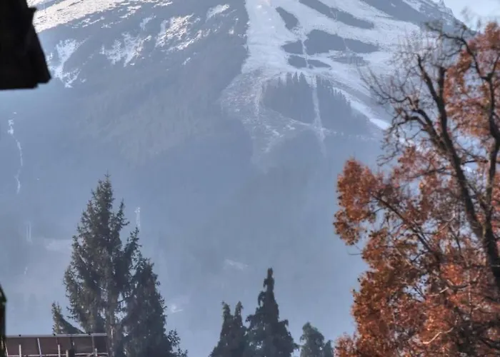 Mountain View 1-bedroom Few Steps From Piste And Gondola Lift Bansko