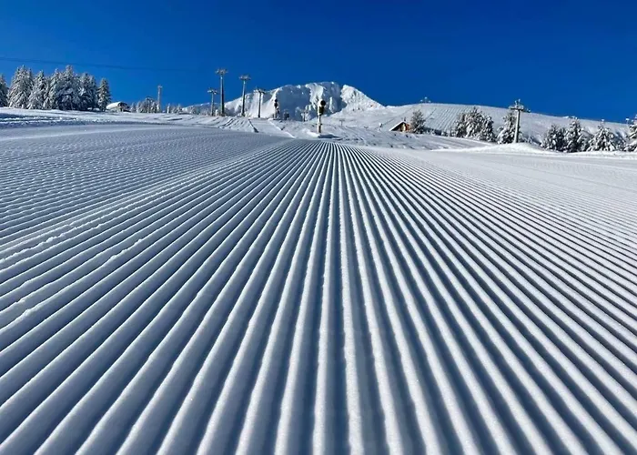 Mountain View 1-bedroom Few Steps From Piste And Gondola Lift Apartment *