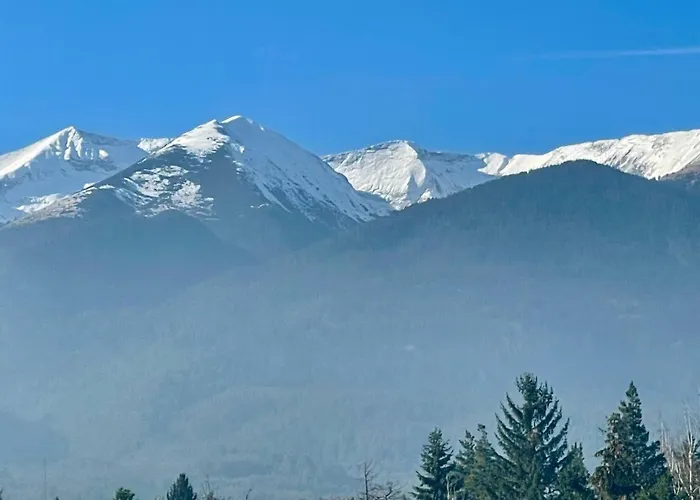 Mountain View 1-bedroom Few Steps From Piste And Gondola Lift * Bansko